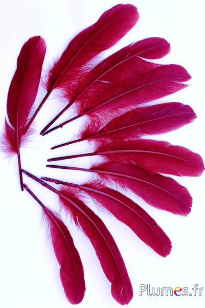 Gans - 15-21 cm - bordeaux